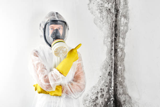 Forensic Mold Investigation in Marseilles, IL